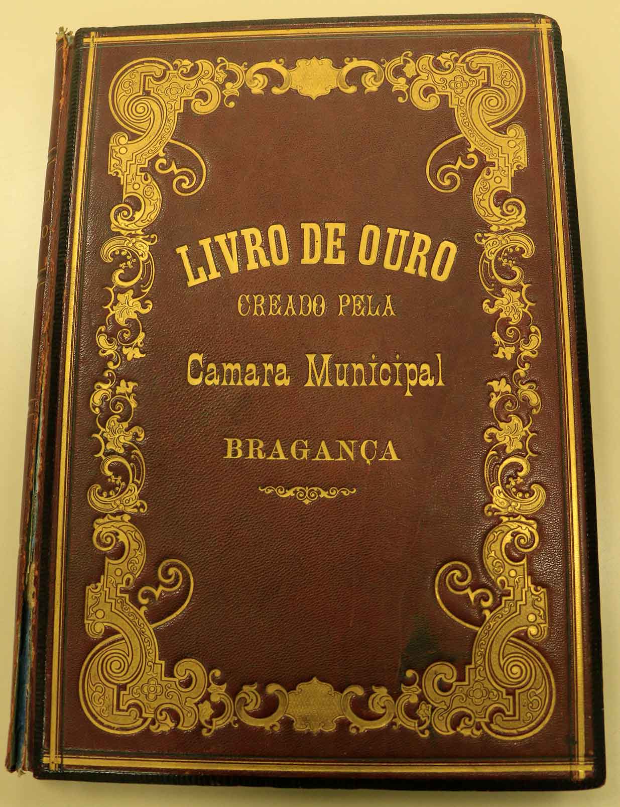 Total 31 Imagem Modelo De Livro De Ouro Vn 5982