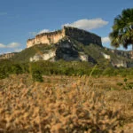 Serras-Gerais-Morro-da-Rainha-foto-Caroline-Maki-56-web